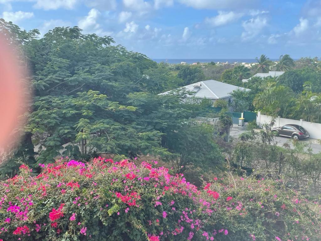 Villa Ste Marthe Avec Piscine, Grande Terrasse, Jardin Intime Et Citerne D'Eau Saint-Francois  Eksteriør billede